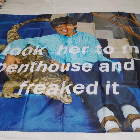 “I Took Her To My Penthouse and I Freaked It” Flag 3x5 Ft – Funny Meme Tapestry - Picture 4 of 7